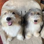 HOPE & RUSH - @hopeandrush - Instagram