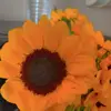 Chico baby - @hope.ryan10 - TikTok