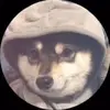 Hope - @hoperyan00 - TikTok