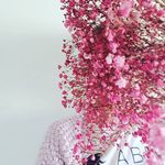 Hope Ryan - @hoperyan.florist - Instagram