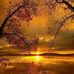 Sakeer Hope - Facebook