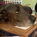 Hope Nance Schenk - Facebook