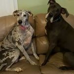 Hope Nance Schenk - @beadisann - Instagram