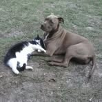 Hope A. Schwartz - Facebook
