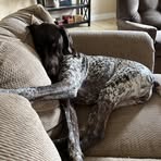Hope Schwartz - Facebook