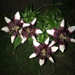 Hope Sharp - Facebook