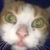 _hopespicer_ - @_hopespicer_ - TikTok