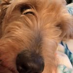 hope - @sprinkle_of_hope - Instagram