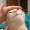Hope Sprinkles - @hopesprinkles - TikTok