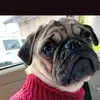 Sprinkles of Hope - @sprinkles.of.hope - TikTok