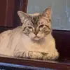 hope <3 - @stanton.hope.m - TikTok