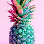 Hope Starkey - @hope.starkey.792 - Instagram