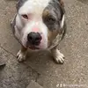 Hope Steele - @hope.steele - TikTok