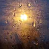 hope.steele08 - @hope.steele08 - TikTok