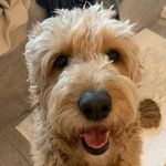 Olivia Hope Stokes “Livy” - @livy_doodle - Instagram