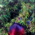 Lydear Hope Soni - Facebook
