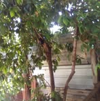 Hope Talbert - Facebook