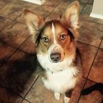 Hope Tharp - @hopetharp - Instagram