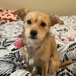 Hope - @hopet_homson - Instagram