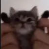 Hopetothisworld - @stillhopestothisworld - TikTok