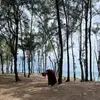Hope Tran - @hope.trannz - TikTok
