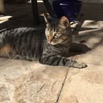 Hope Waller - @arya.waller - Instagram