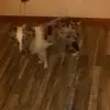 Hope Walls - @hope.walls7 - TikTok