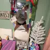 hopewheeler23 - @hope.wheeler - TikTok