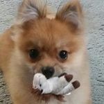 Hope Whitlock - @madmom616 - Instagram