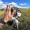 hopewiggins737 - @hopewiggins737 - TikTok