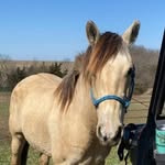 Hope Wiley - @hopewiley1 - Instagram