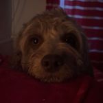 Hope - @hopewilkinson_11 - Instagram