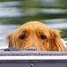 Hope Wilkinson MacDonald - Facebook