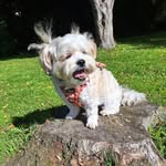 Winnie-Hope - @princesswinniehope - Instagram