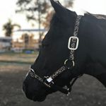 Hope Wright - @_equine_63 - Instagram