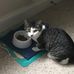 Hope Moorman Yarbrough - Facebook