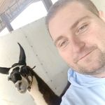 Horace Beard - @horseyknowsbest - Instagram