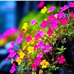 Horace Becker - Facebook