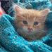 Harris Benson - Facebook