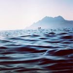 HORACE BURRELL - @horace.burrell - Instagram