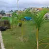 Horace Chambers - @horace.chambers7 - TikTok