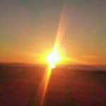 Horace Cunningham - @turfite65gmailcom - Instagram