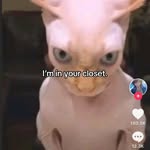 Horace Cunningham - @cunningham.horace - Instagram