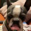 Horace Lover - @horace.lover4 - TikTok