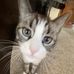 Horace Graham - Facebook