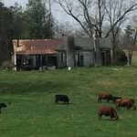 Horace McLean Holderfield - @holderfieldhorace - Instagram
