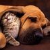 Horace Mitchell ៚ - Facebook