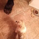 horac.ephillips - @horac.ephillips - Instagram