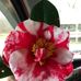 Horace Roberson - Facebook