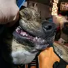 Dorrace Samples - @dorraces - TikTok